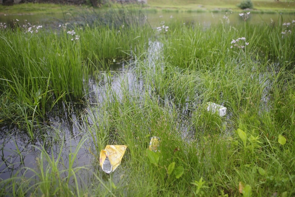 Порядка 9 километров берега очистили от мусора в июне в Псковской области 