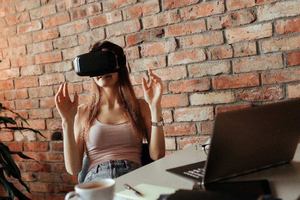В Псковской области ведется разработка VR-игры «Работать в России»  