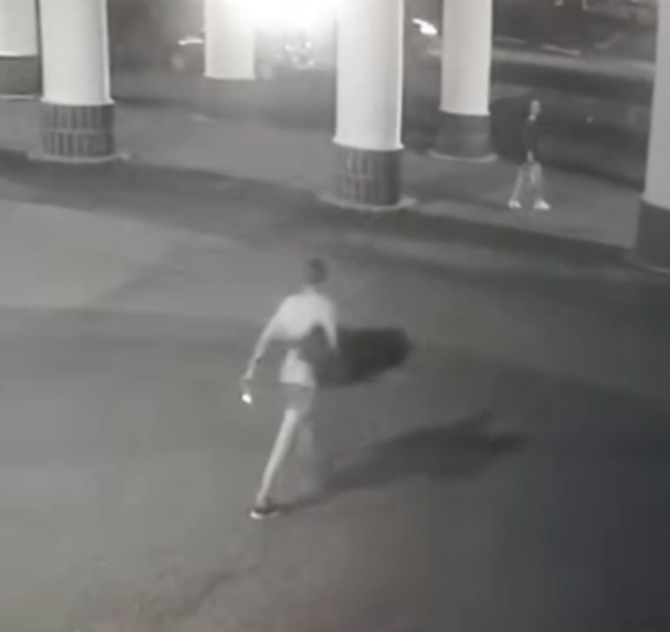 Полиция установила подозреваемого в краже туи у ГКЦ в Пскове