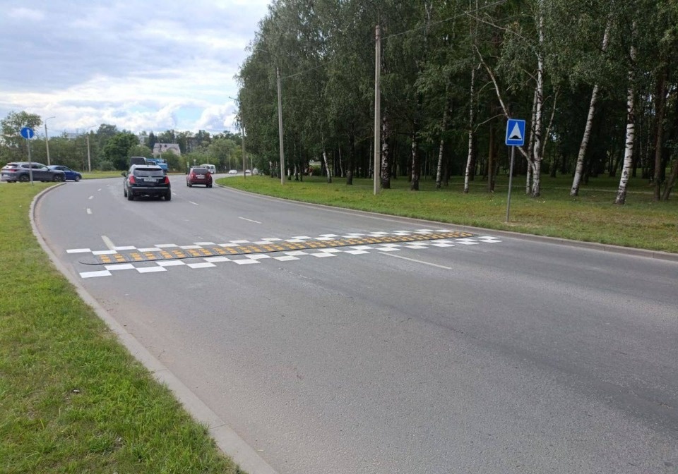 «Лежачие полицейские» появились на пересечении улиц Юбилейной и Яна Райниса в Пскове