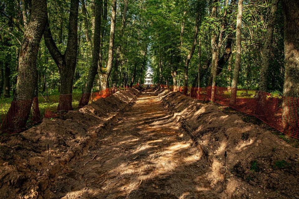 Парковую дорожку реставрируют на Главной липовой аллее в усадьбе Ганнибалов «Петровское»