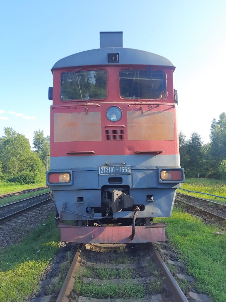 Трое псковичей попались на краже почти полтонны топлива из локомотива