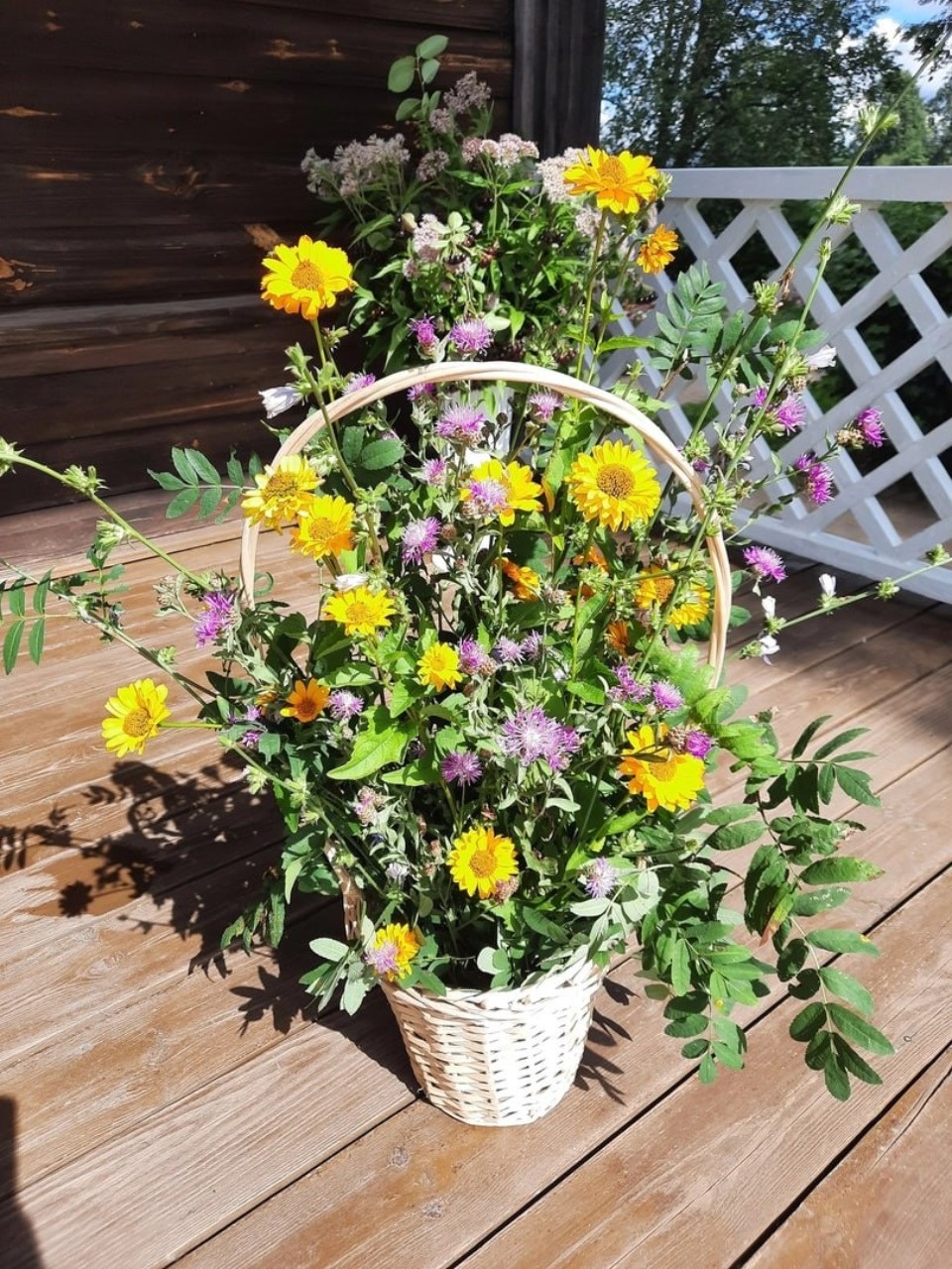 В музее-усадьбе «Тригорское» организовали посвященную Ольгиному дню цветочную фотозону