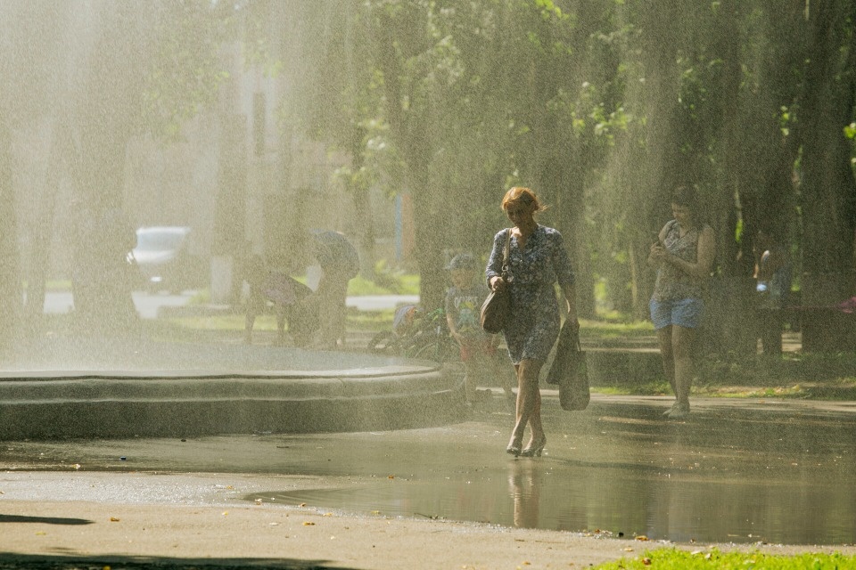 Без осадков и до +30 градусов ожидаются в Псковской области 24 июля