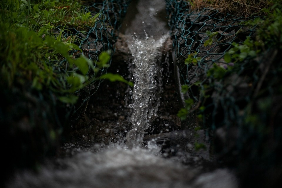 Дожди ожидаются в Псковской области 29 июля