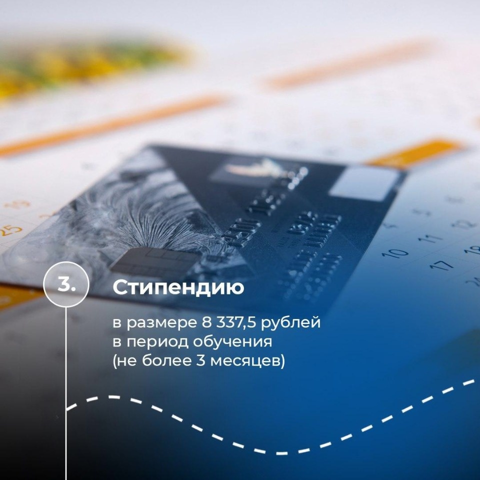 274 соцконтракта на поиск работы заключили в Псковской области с начала года