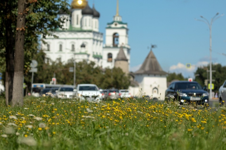 До +26 градусов прогреется воздух в Псковской области 5 августа