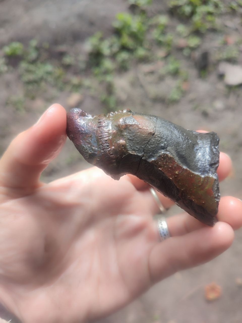 Нетипичный носик керамического водолея обнаружили на раскопе в Пскове