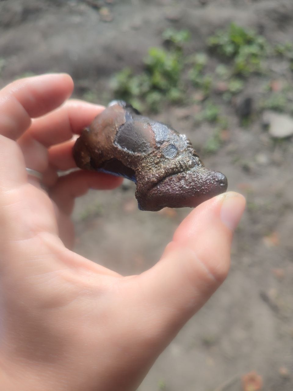 Нетипичный носик керамического водолея обнаружили на раскопе в Пскове