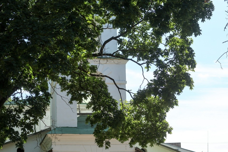 До +25 градусов ожидается в Псковской области 6 августа