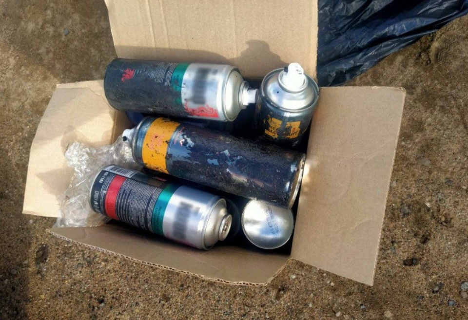 Двое жителей Саратова нанесли на стены домов в Пскове свыше 900 граффити с рекламой наркотиков