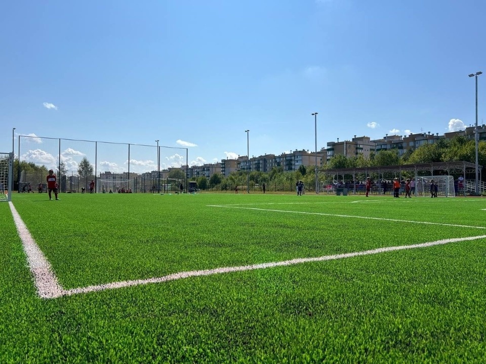 Рядом с «умным» ФОКОТом на улице Никольской в Пскове установят объекты торговли