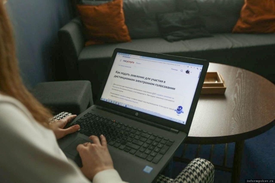 Более 1,6 тысячи жителей Псковской области подали заявление на участие в ДЭГ