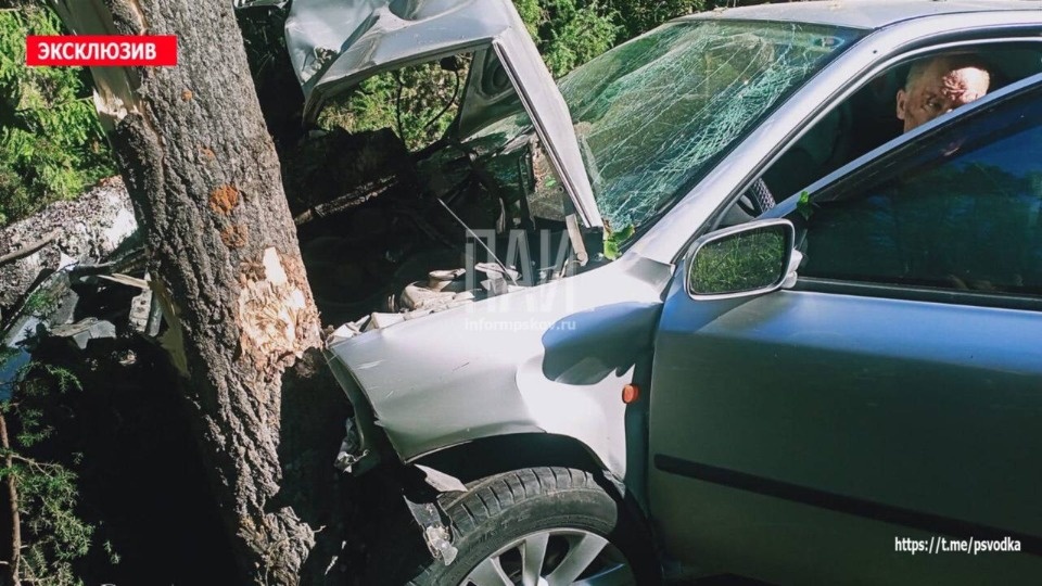 Водителю легковушки потребовалась госпитализация после тарана дерева в Себежском районе Водителю легковушки потребовалась госпитализация после тарана дерева в Себежском районе