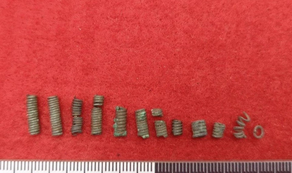 На раскопках в Выбутах в Псковском районе обнаружили свыше 130 находок