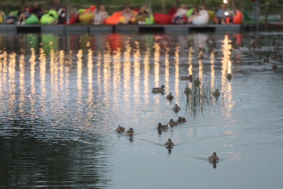 Музыка над водной гладью