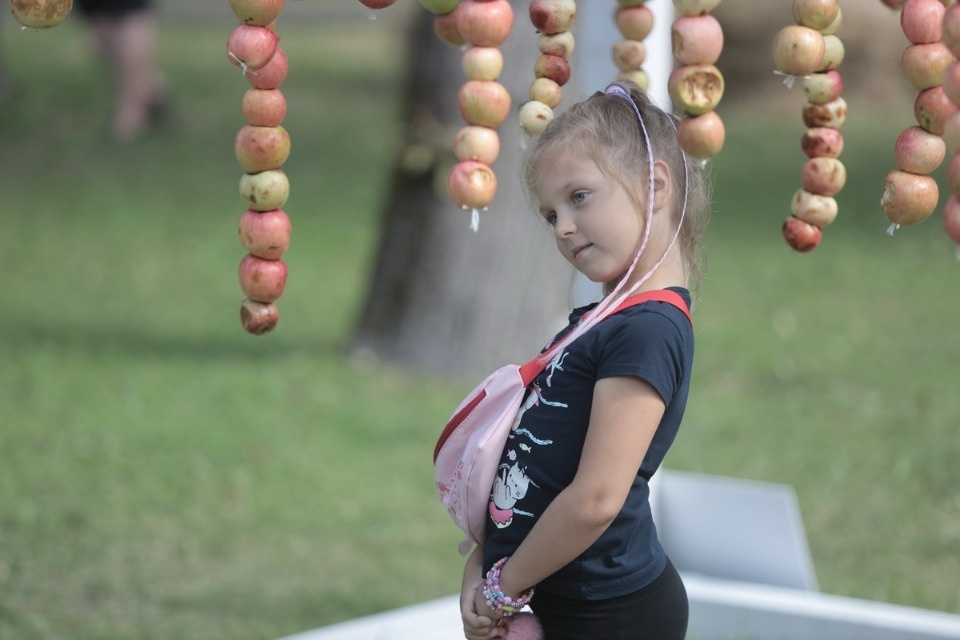 Ярмарка «Лешуга» в Пскове