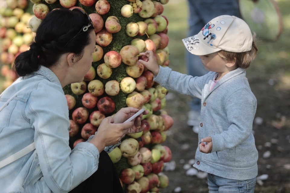 Ярмарка «Лешуга» в Пскове