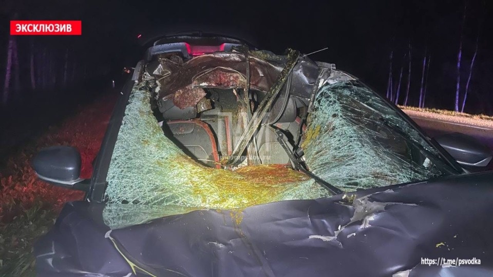 Одному человеку потребовалась госпитализация после аварии с лосем в Псковском районе Одному человеку потребовалась госпитализация после аварии с лосем в Псковском районе