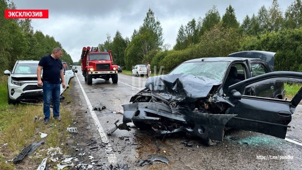 Ребенок и мужчина погибли в лобовом столкновении под Плюссой