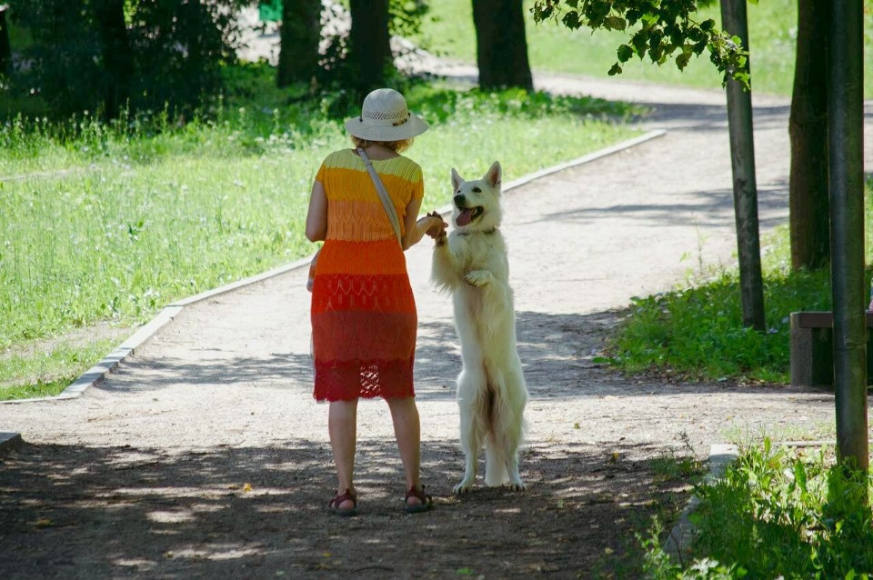 До +26 градусов прогреется воздух в Псковской области 20 августа