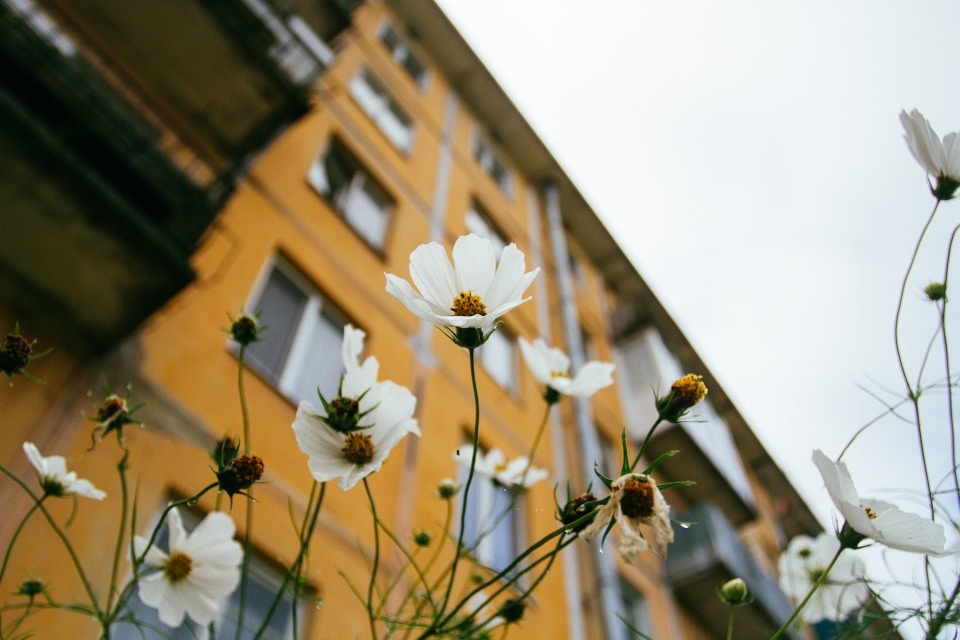 В России с начала года капитально отремонтировали 46 млн квадратных метров жилья