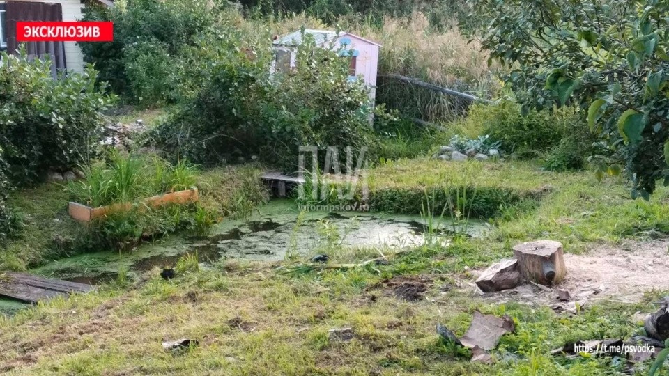 Трехлетнего ребенка госпитализировали без сознания после падения в водоем в Стругах Красных