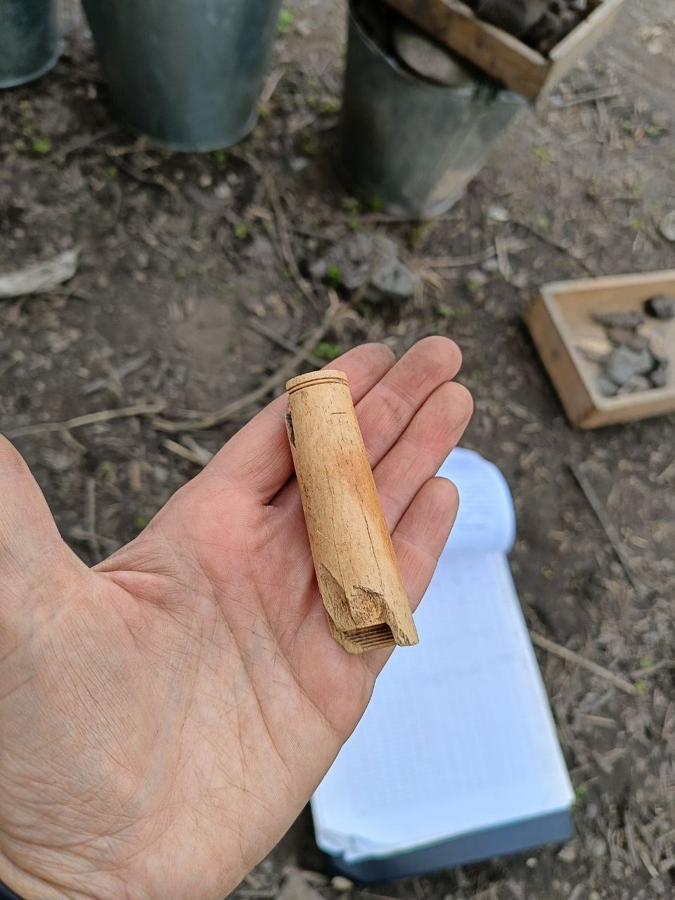 Очередными находками из раскопа на Красноармейской набережной в Пскове поделились археологи