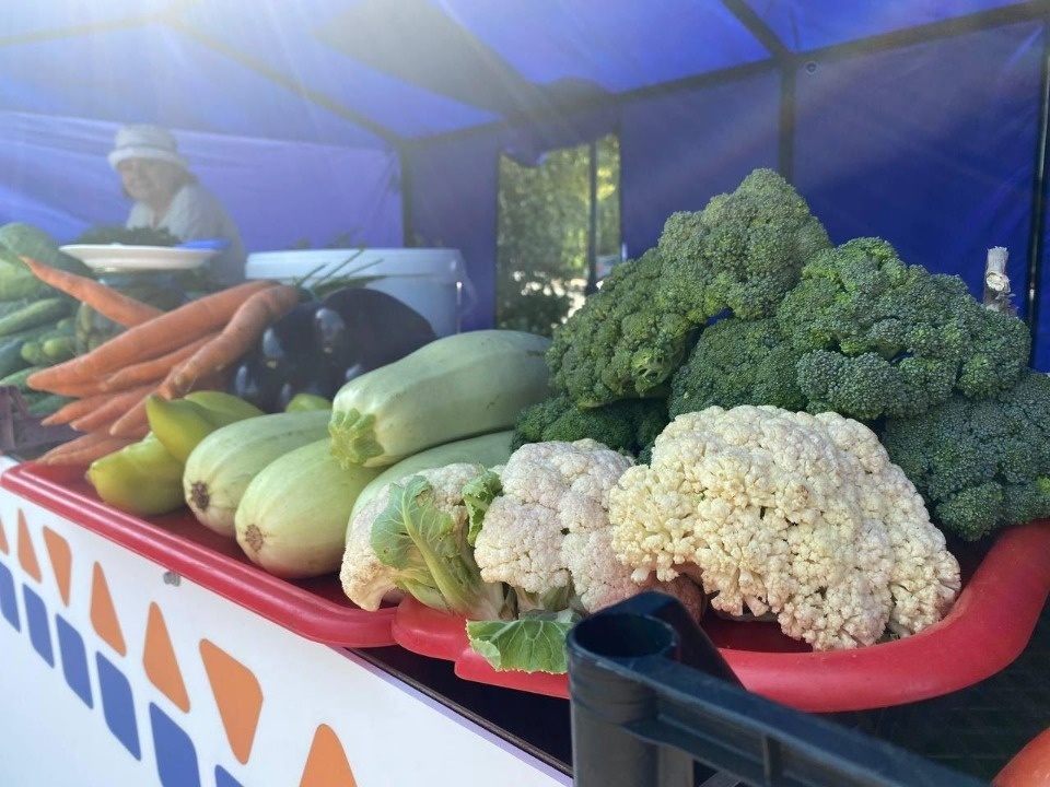 В Пскове из-за ярмарки перекроют участок улицы Пушкина
