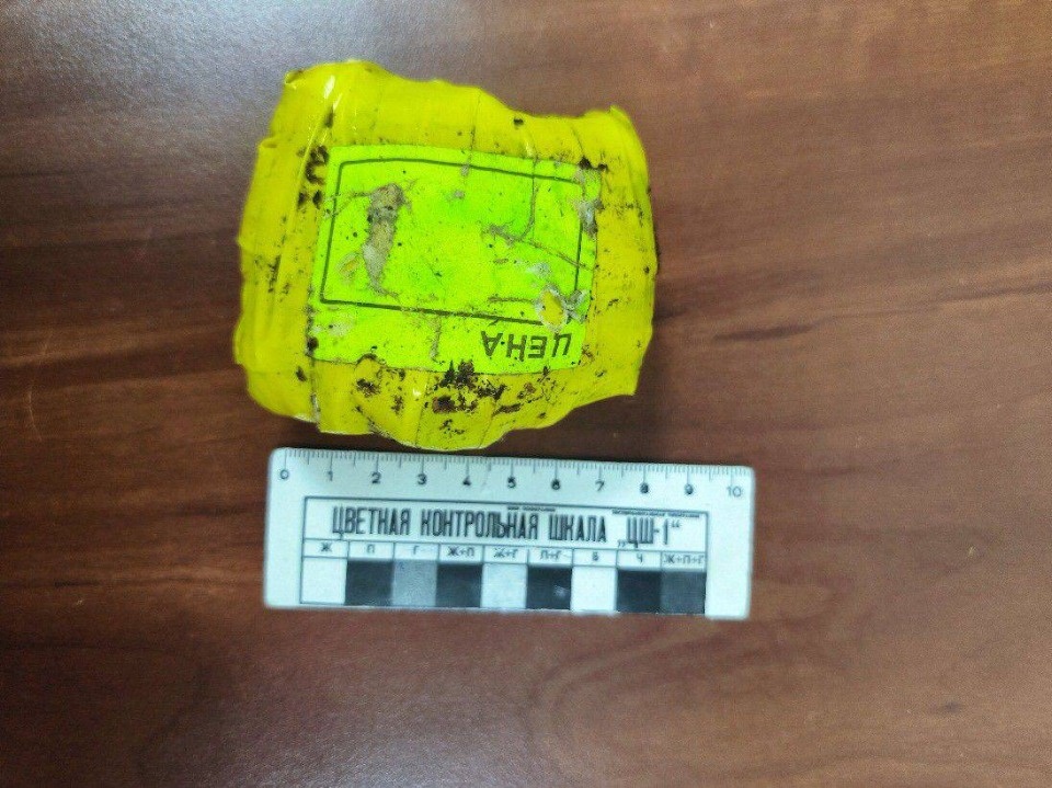 Псковичка отправится на 10,5 лет в колонию за попытку сбыта наркотиков в составе ОПГ Псковичка отправится на 10,5 лет в колонию за попытку сбыта наркотиков в составе ОПГ