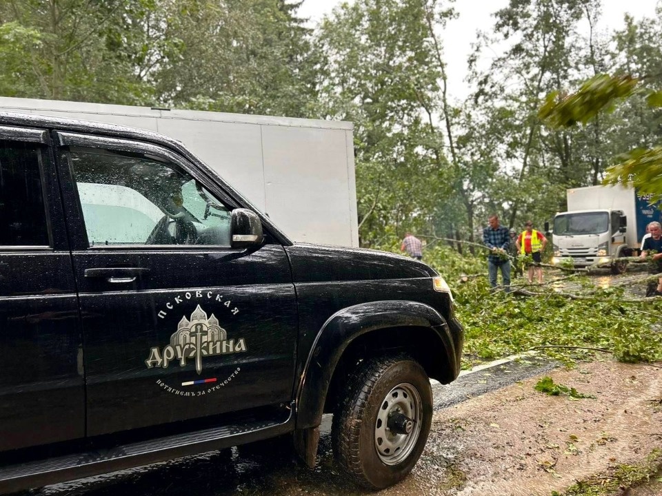 Дружинники помогли оперативно восстановить движение по трассе в Дедовичском районе