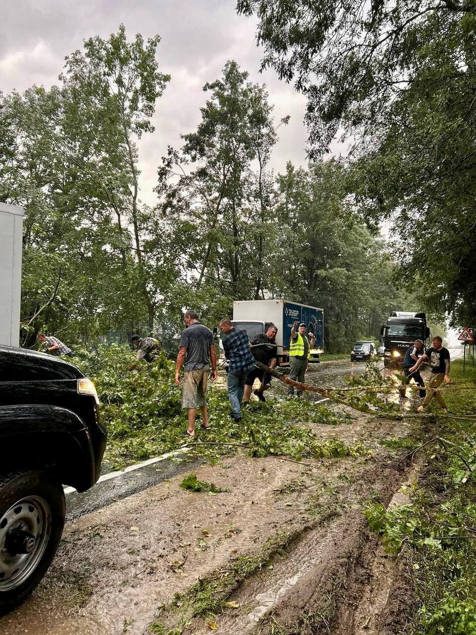 Более 370 псковских населенных пунктов остаются без электроснабжения из-за шторма