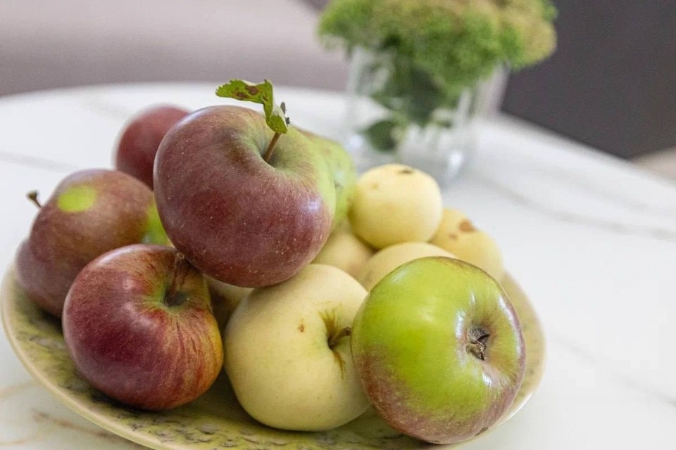 Яблоневый сад у здания псковского правительства порадовал первым урожаем