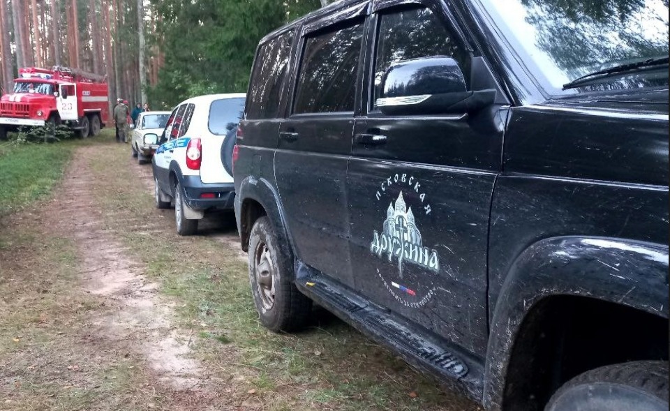 Псковские дружинники помогли найти заблудившегося грибника