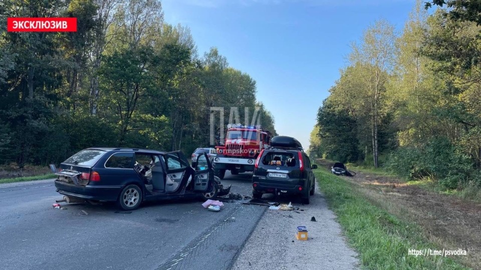 Новорожденный и еще пять человек пострадали в ДТП в Островском районе
