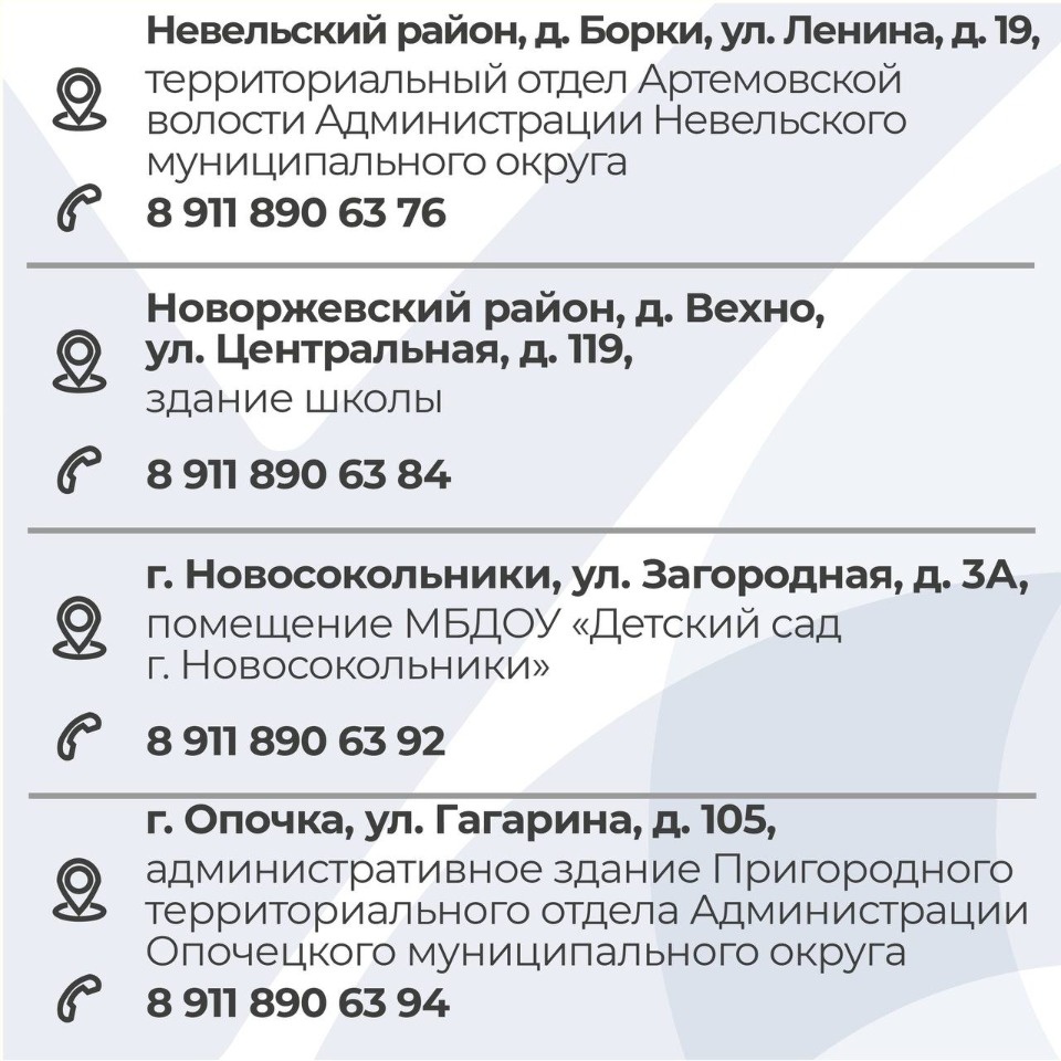 Петербуржцы смогут проголосовать за губернатора, не покидая Псковской области