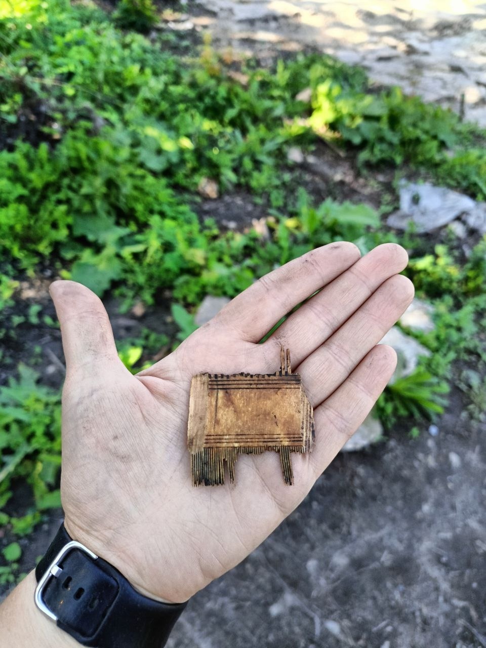 Гребень из бивня моржа и развалины XVIII века обнаружили псковские археологи 