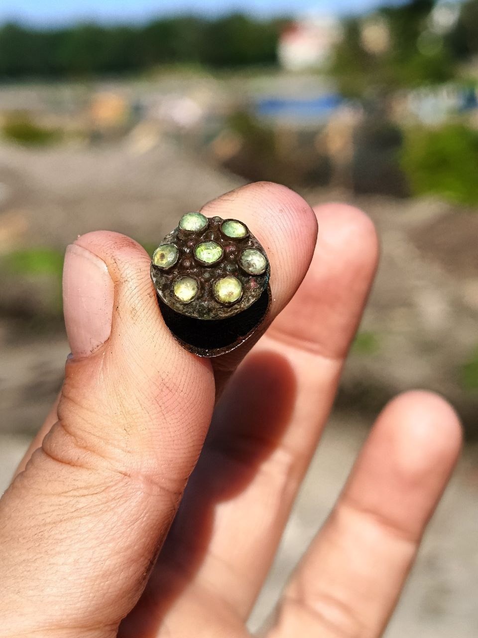 Гребень из бивня моржа и развалины XVIII века обнаружили псковские археологи 