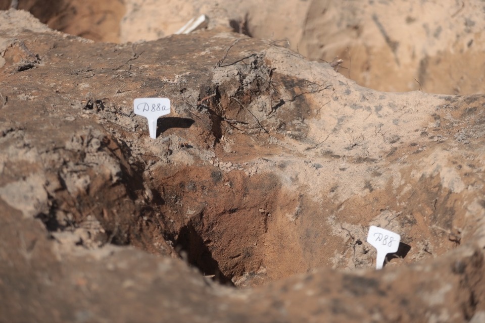 Тайны земли псковской Тайны земли псковской