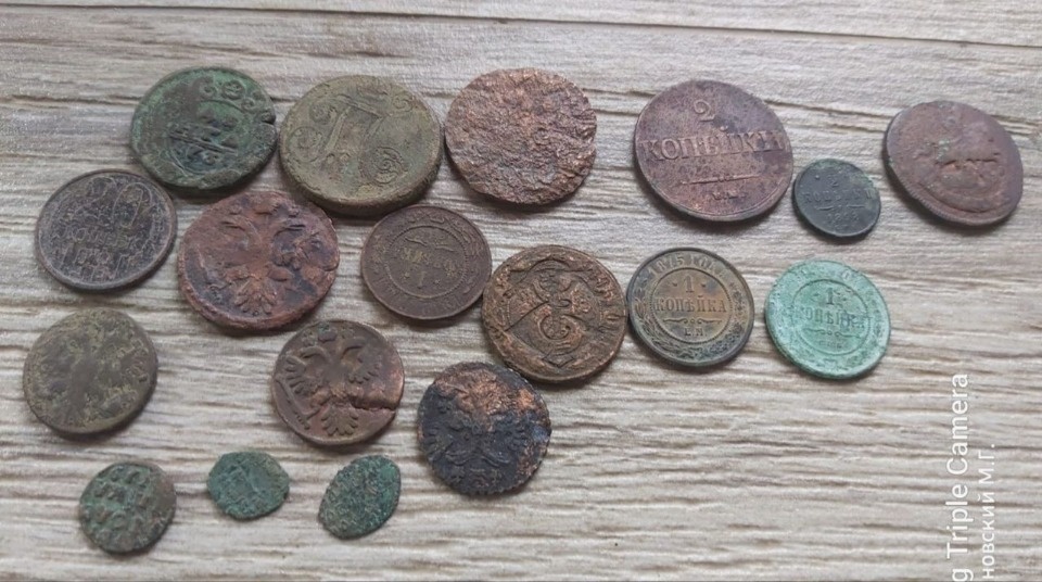 Царские монеты обнаружили при исследовании Мальского монастыря в Печорском районе 