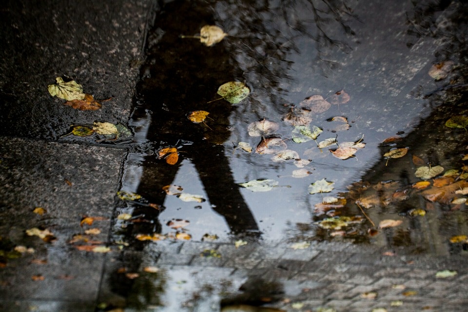 До +28 градусов и дожди прогнозируются в Псковской области 2 сентября