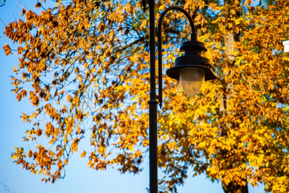Псковичам рассказали, какая погода ожидается в регионе в сентябре
