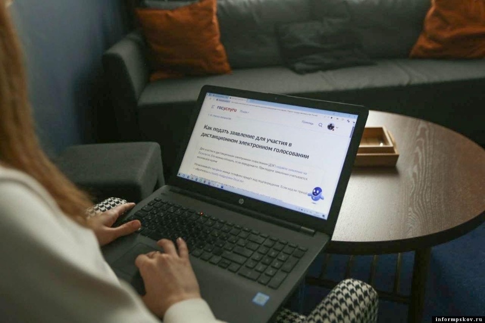 Жители Псковской области могут зарегистрироваться на ДЭГ до 23:59 2 сентября