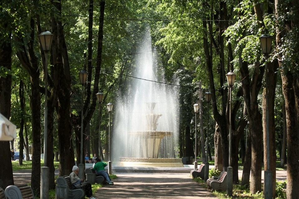 До +29 градусов прогреется воздух в Псковской области 3 сентября