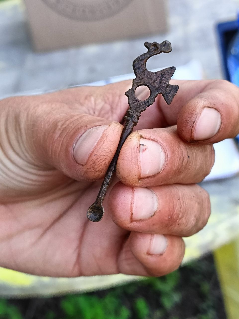 Копоушку с птицей обнаружили на раскопе в Пскове