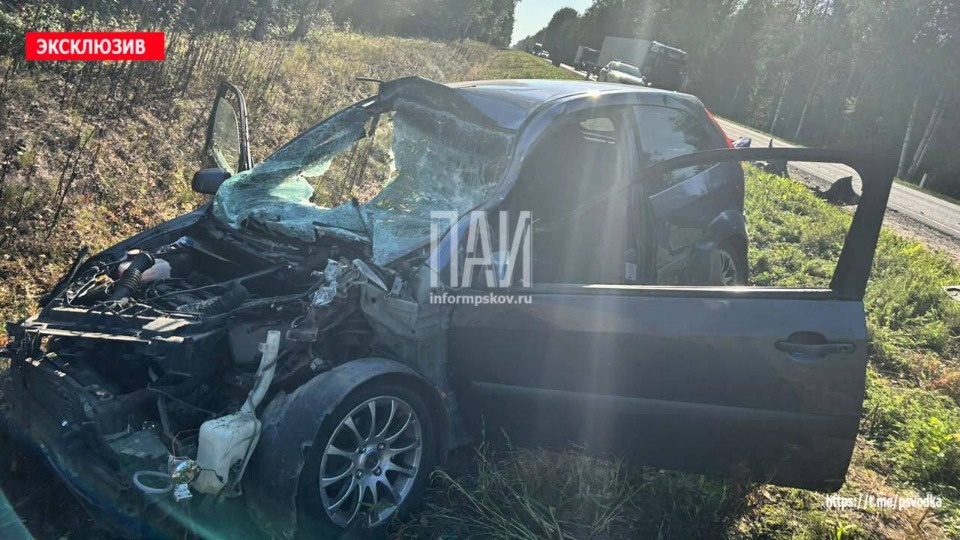 Петербуржец чудом уцелела в ДТП с фурой в Стругокрасненском районе Петербуржец чудом уцелела в ДТП с фурой в Стругокрасненском районе