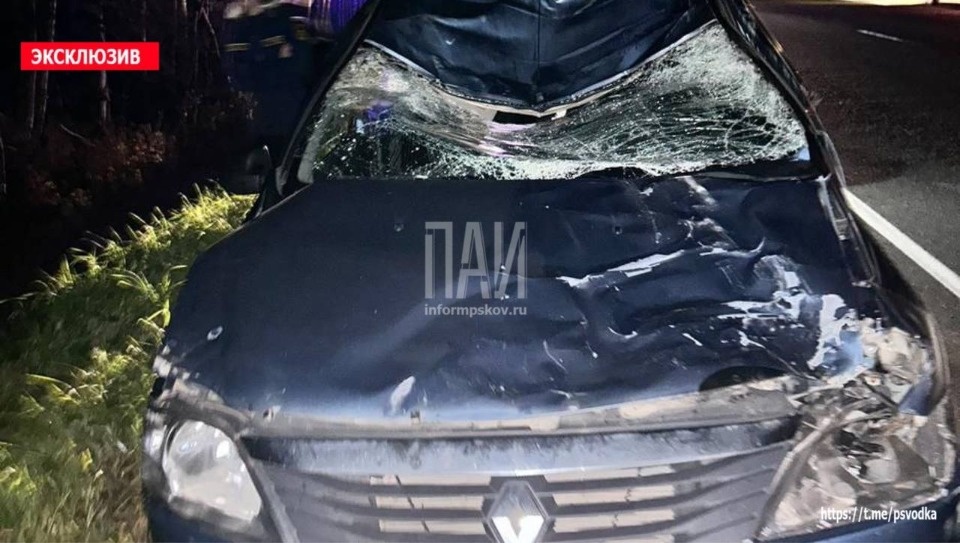 Водителя иномарки госпитализировали после ДТП с лосем в Стругокрасненском районе Водителя иномарки госпитализировали после ДТП с лосем в Стругокрасненском районе