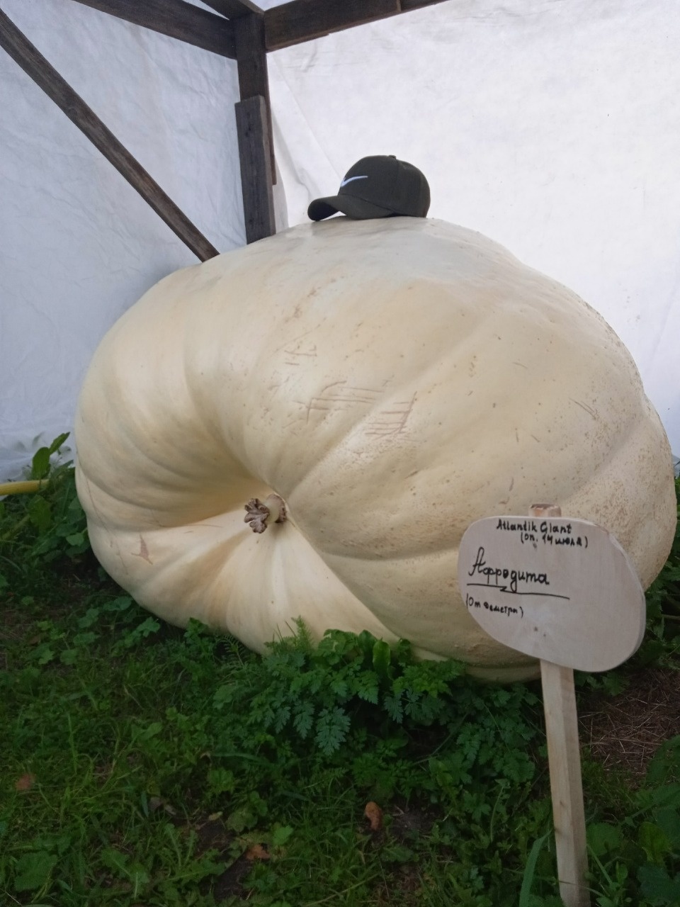 Еще больше, еще круглее Еще больше, еще круглее