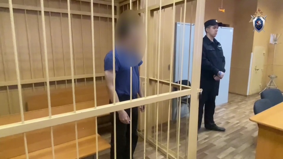 Псковича, убившего соседей из-за громкой музыки, заключили под стражу