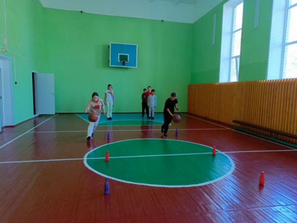 Уличные спортивные площадки и спортзалы десяти школ отремонтировали в Псковской области